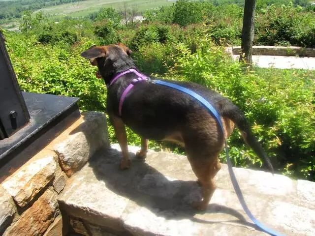 Ault Park