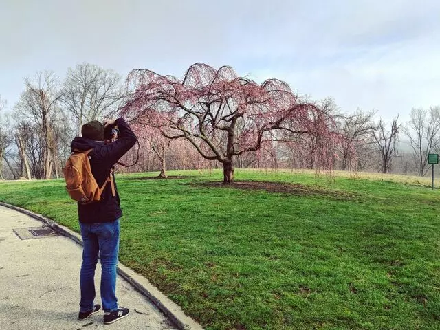 Ault Park