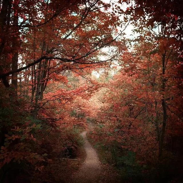 Ault Park