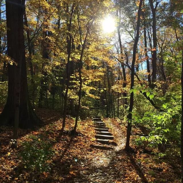 Ault Park