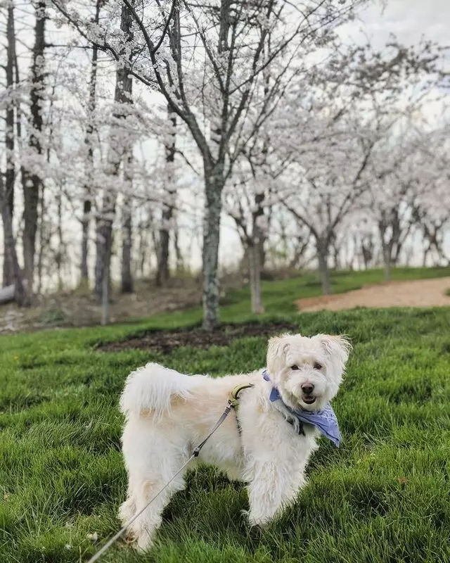 Ault Park