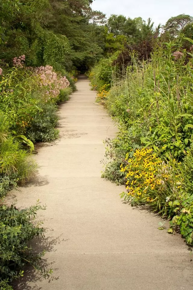 Ault Park