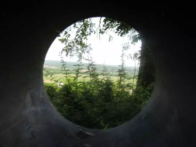 Ault Park