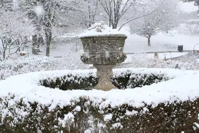 Ault Park