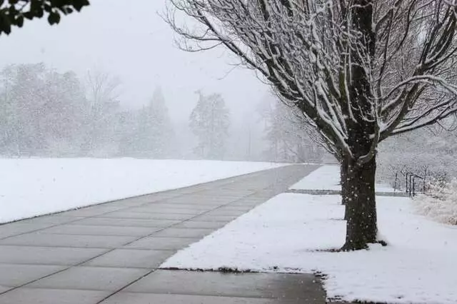 Ault Park