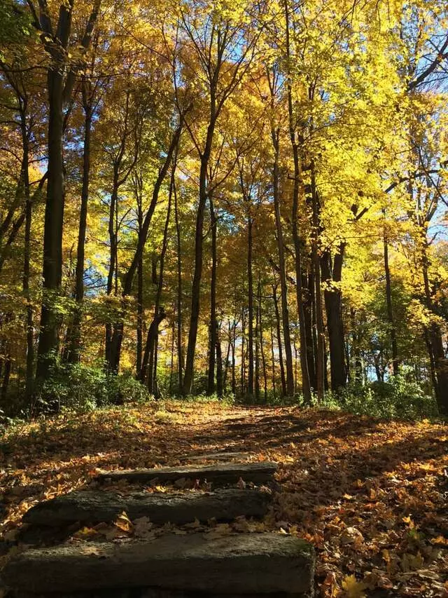 Ault Park