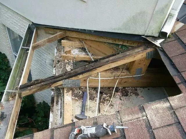 AAAC Wildlife Removal of Cincinnati