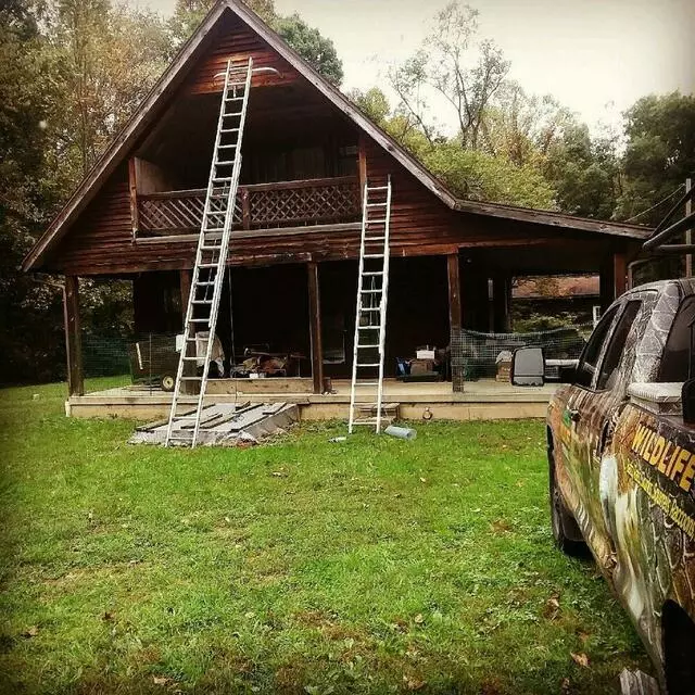 AAAC Wildlife Removal of Cincinnati