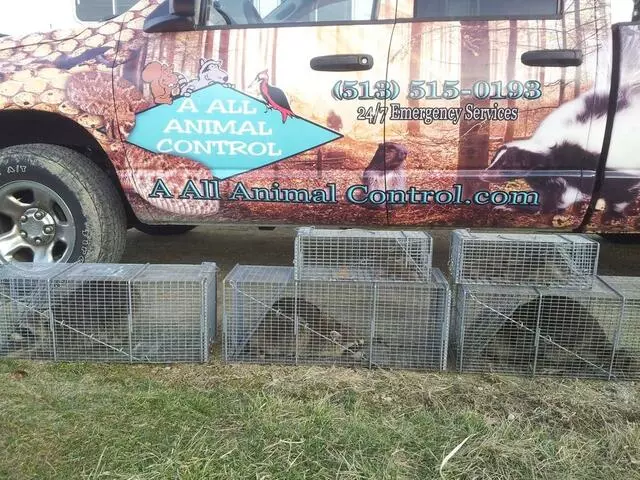 AAAC Wildlife Removal of Cincinnati