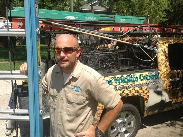 AAAC Wildlife Removal of Cincinnati