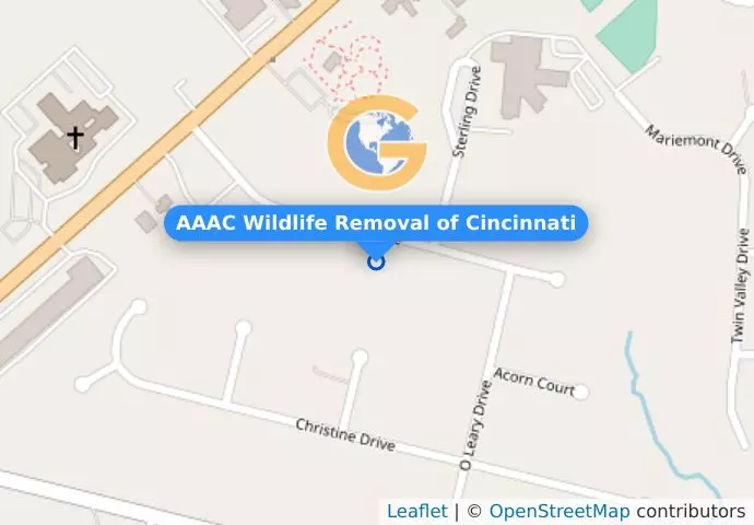 AAAC Wildlife Removal of Cincinnati