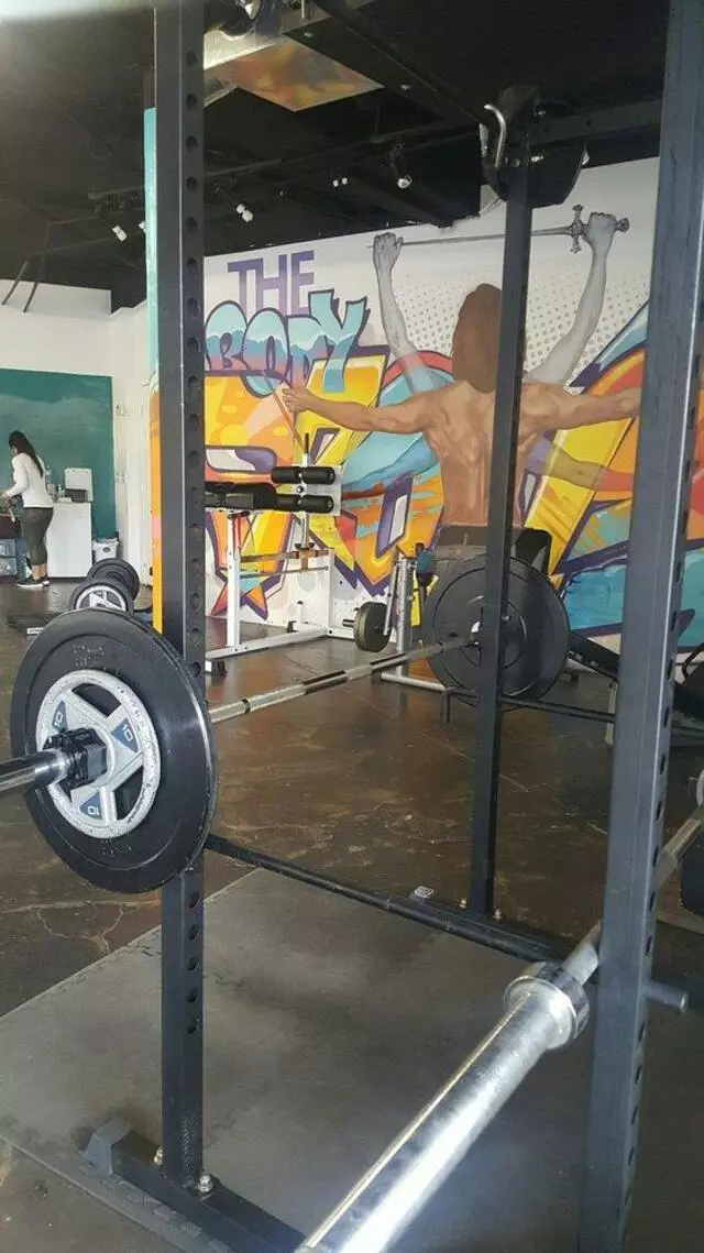 The Body Project