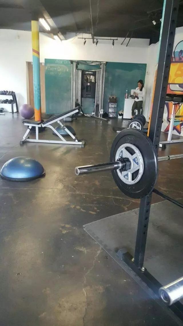The Body Project
