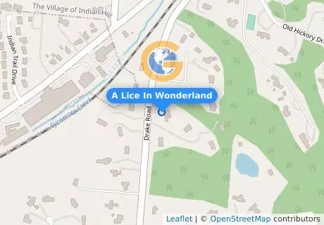 A Lice In Wonderland