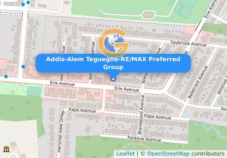 Addis-Alem Teguegne-RE/MAX Preferred Group