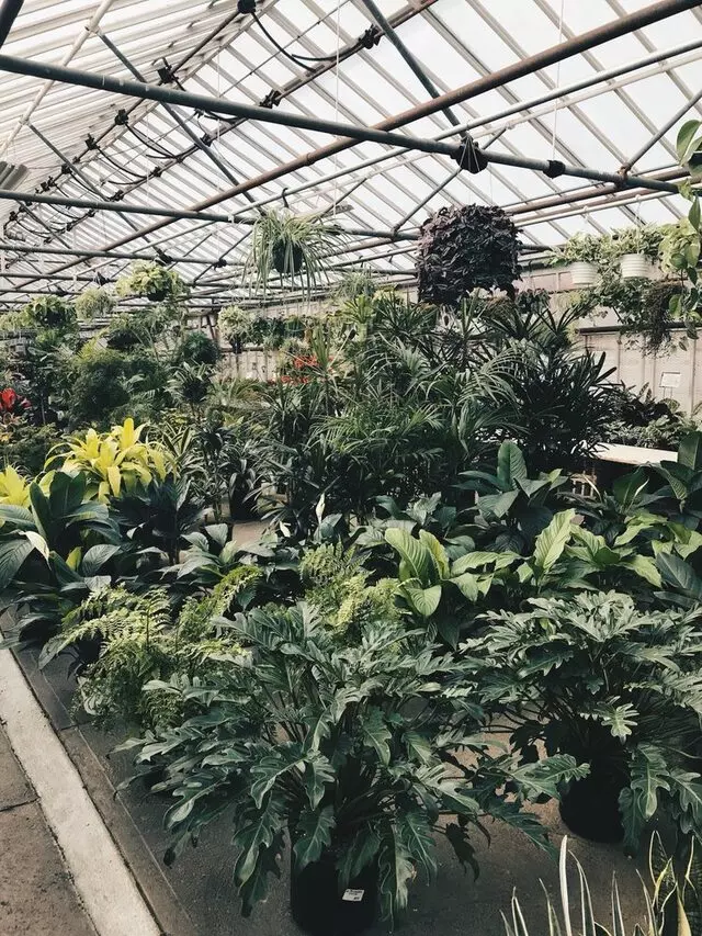 AJ Rahn Greenhouses