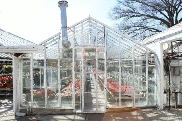 AJ Rahn Greenhouses