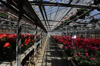 AJ Rahn Greenhouses