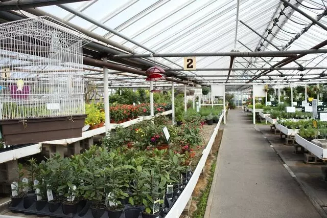 AJ Rahn Greenhouses