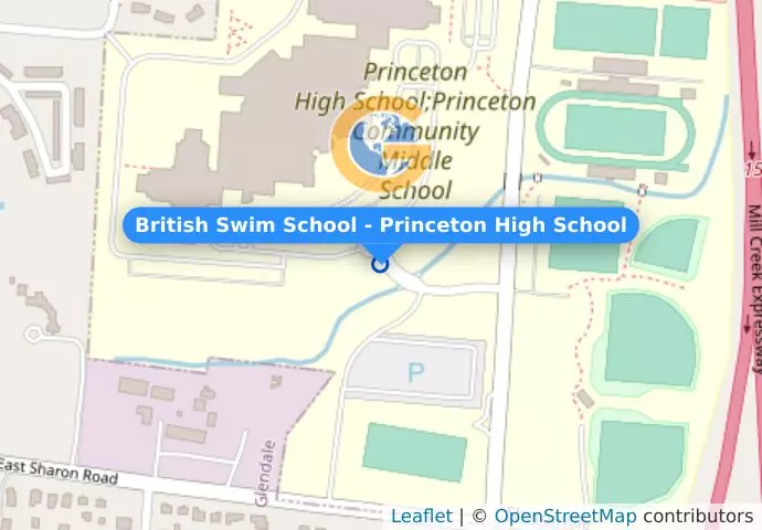 British Swim School - Princeton High School