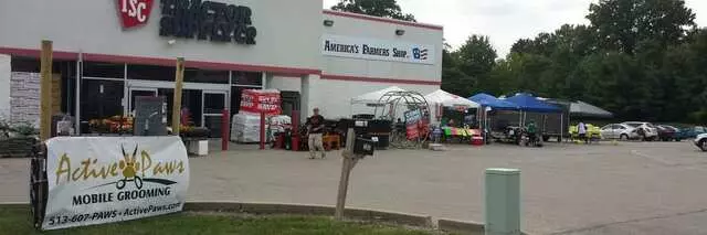 Active Paws Mobile Grooming