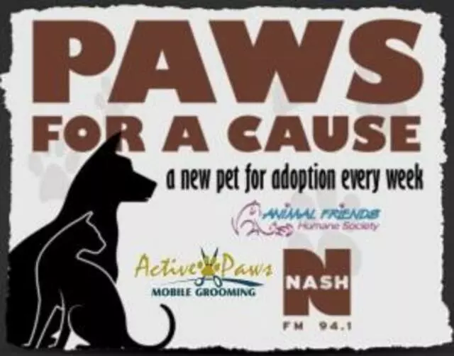 Active Paws Mobile Grooming