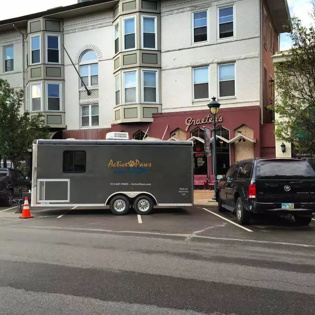 Active Paws Mobile Grooming