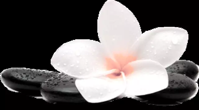 Ageless Spa