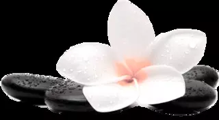 Ageless Spa