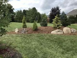 Allison Landscaping & Water Gardens