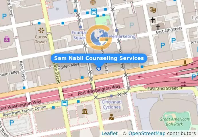 Sam Nabil Counseling Services