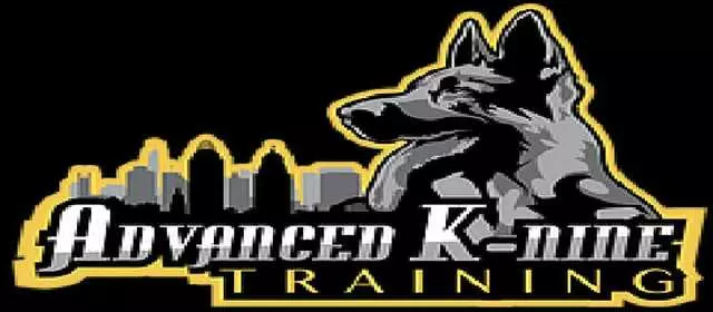 Advanced K-Nine Training