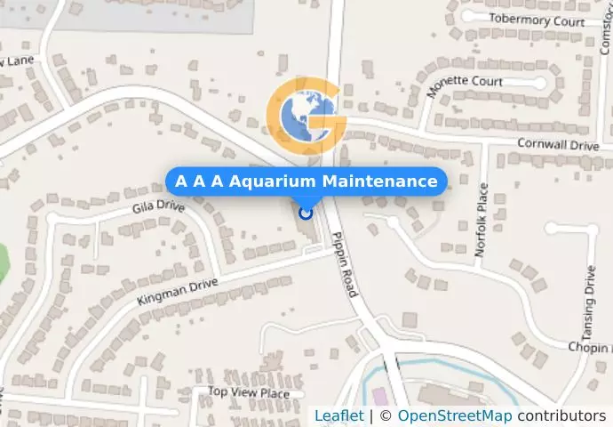 A A A Aquarium Maintenance