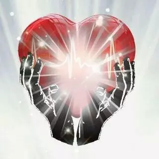 loving hearts and hands homecare