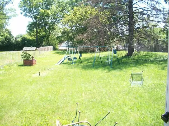 Andrea’s Critter Corner