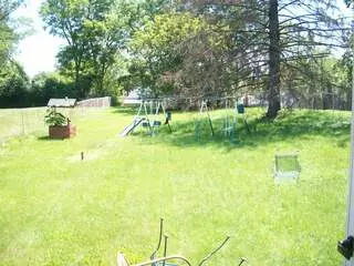 Andrea’s Critter Corner