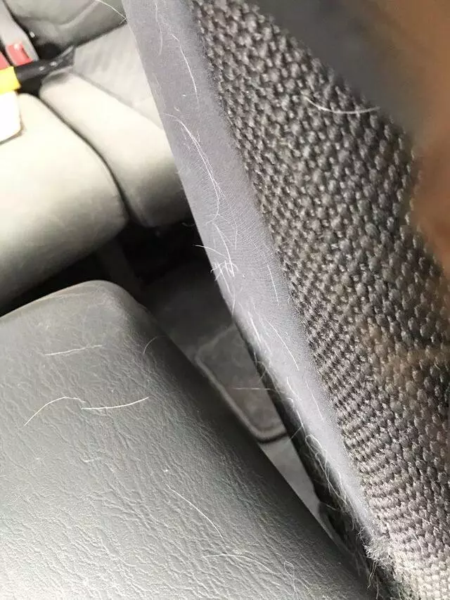 AAA Auto Wash
