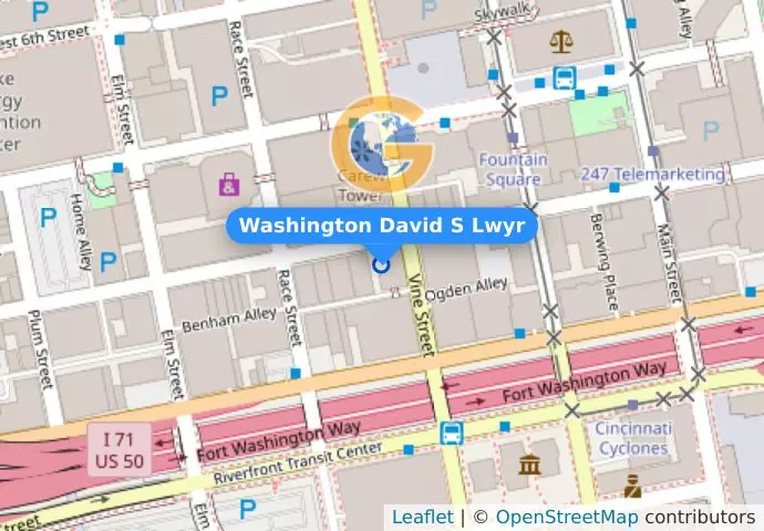 Washington David S Lwyr