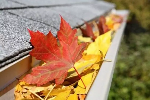 A Prestige Gutter & Window Cleaning