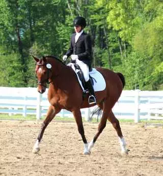 Accordance Dressage
