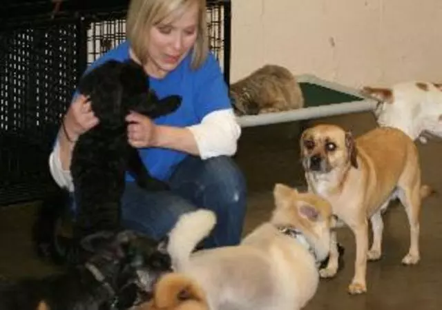 Animal Ark Pet Resort