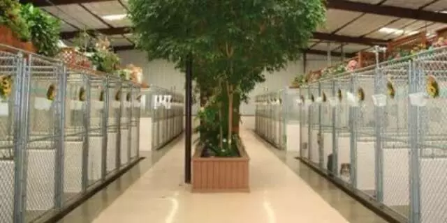 Animal Ark Pet Resort