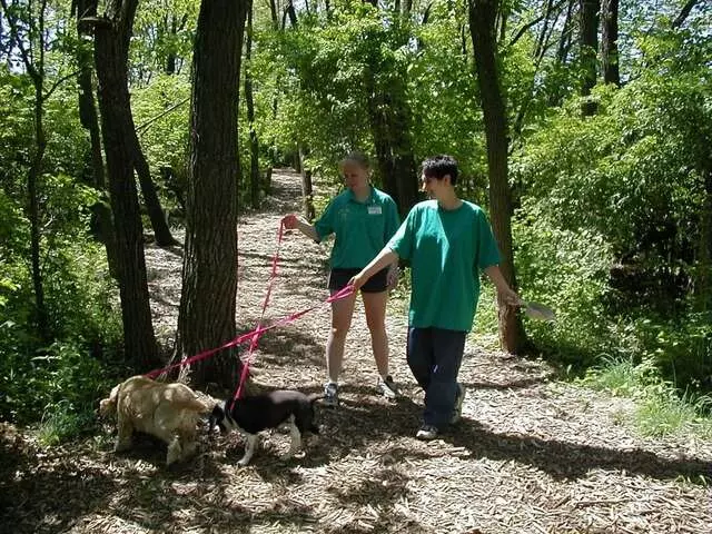 Animal Ark Pet Resort