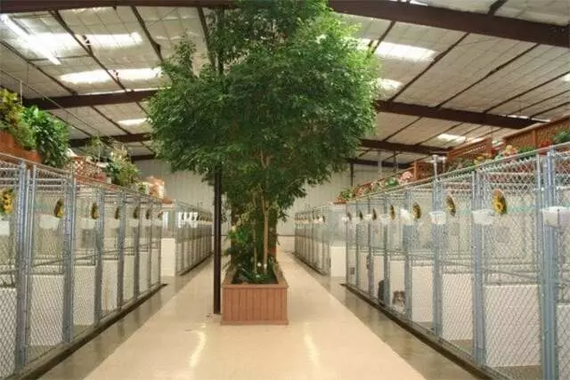 Animal Ark Pet Resort