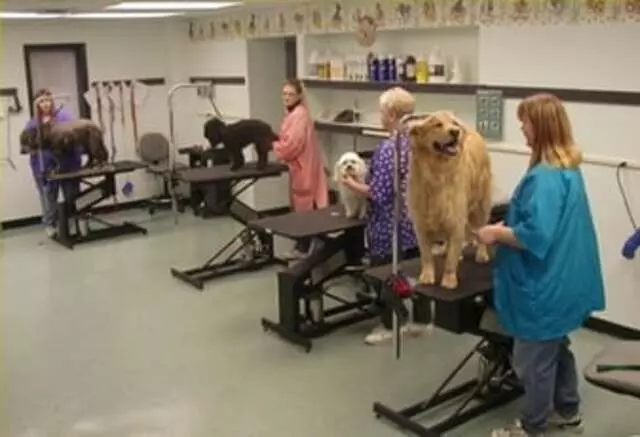 Animal Ark Pet Resort