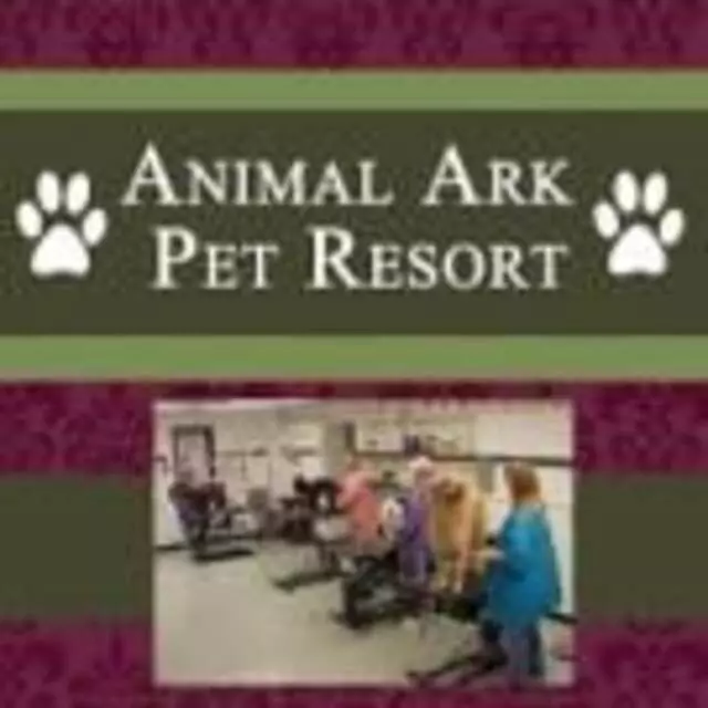 Animal Ark Pet Resort