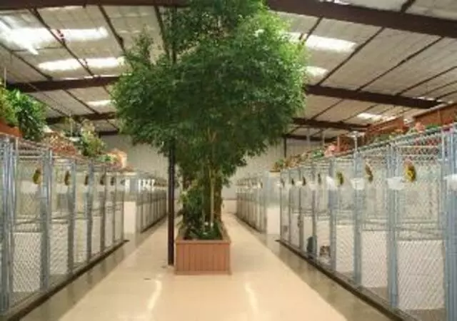 Animal Ark Pet Resort