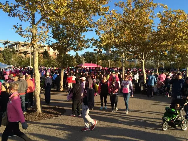Making Strides Against Breast Cancer