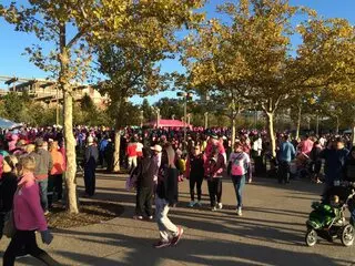Making Strides Against Breast Cancer