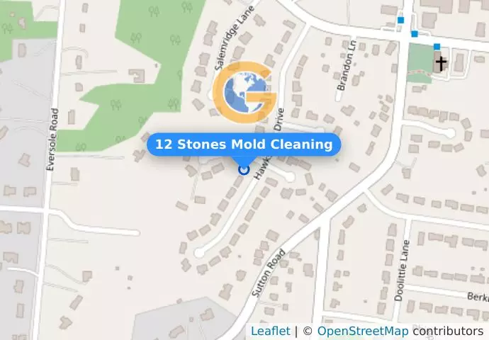 12 Stones Mold Cleaning
